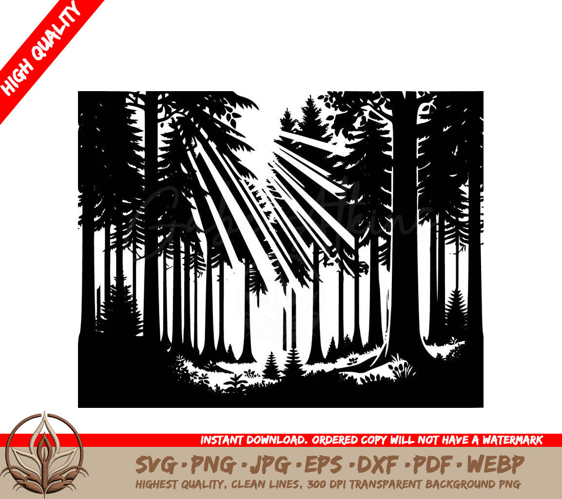 Sunlit Forest - Digital Design in Multiple File Formats