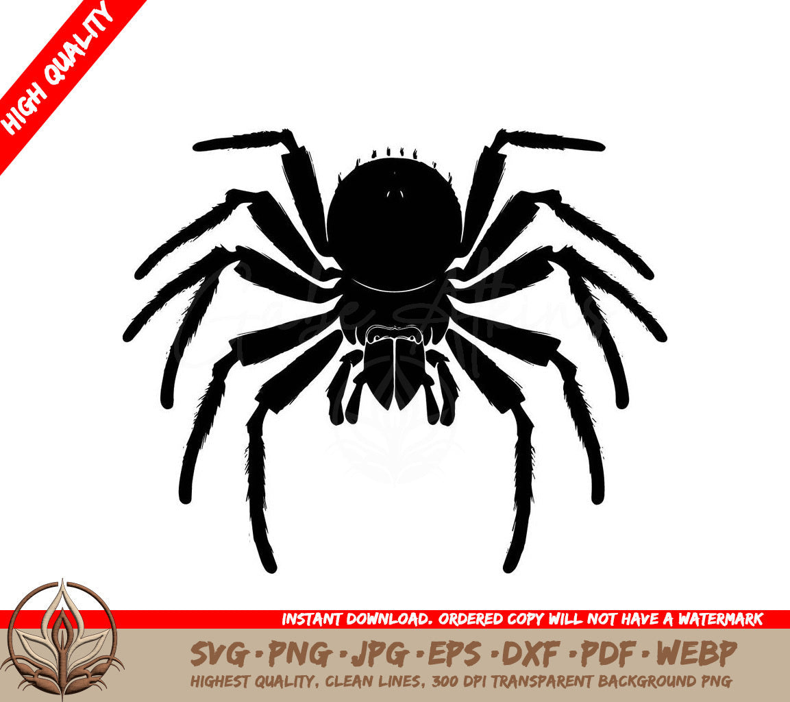 Tarantula Digital Design in SVG PNG JPG AI PDF DXF EPS and WebP Formats