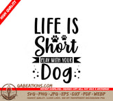 Play With Your Dog SVG SVG