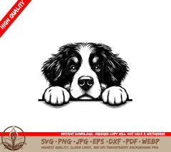Thoughtful Bernese Mountain Dog SVG