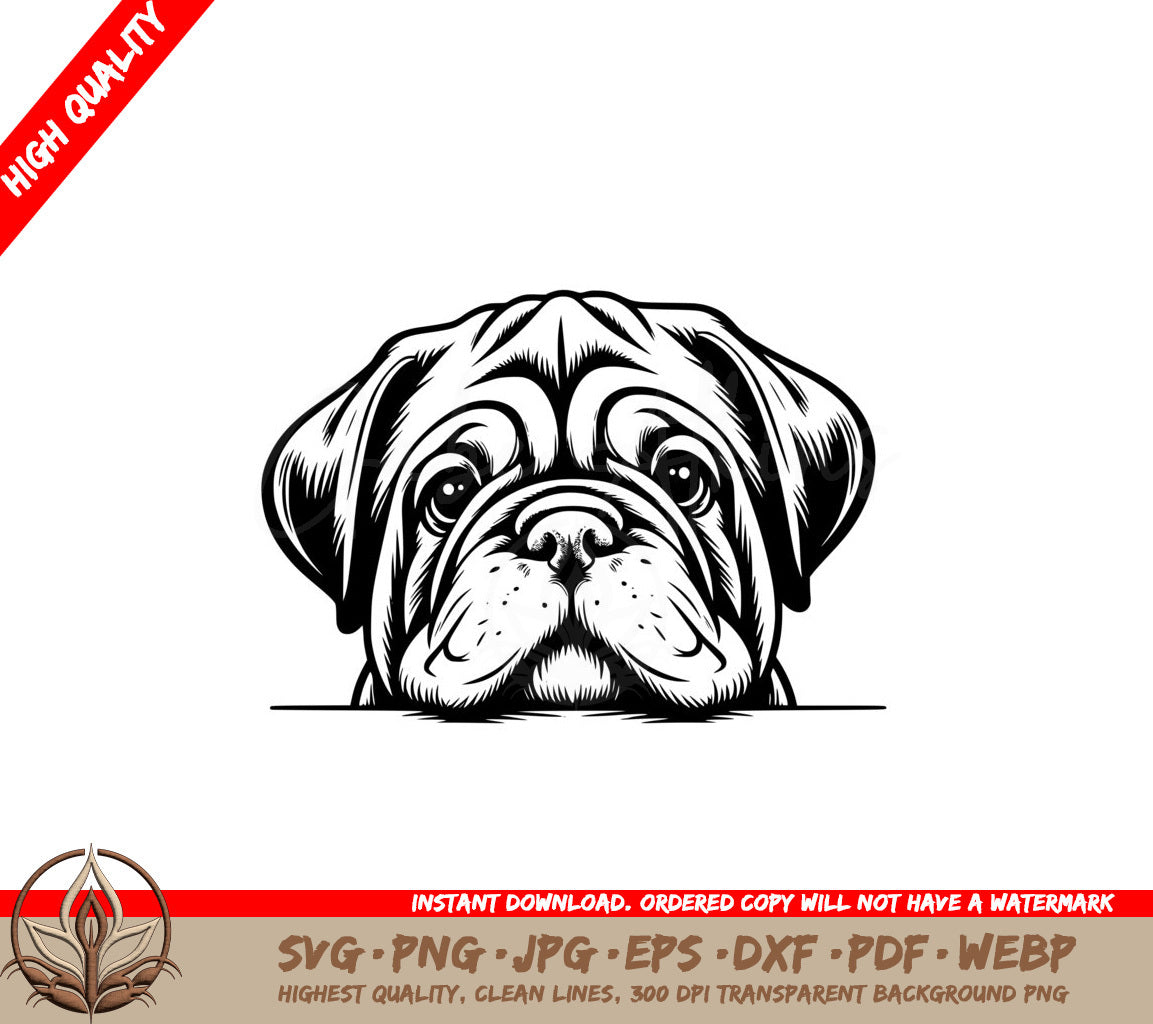 Thoughtful Dogues De Bordeaux SVG
