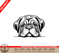 Thoughtful Dogues De Bordeaux SVG