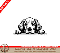Thoughtful Irish Setter SVG