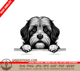 Tibetan Terrier Wall Peeking Dog SVG -  Drawing SVG