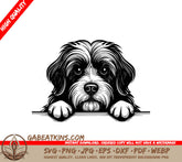 Tibetan Terrier Wall Peeking SVG - Dog Paw Print Design SVG
