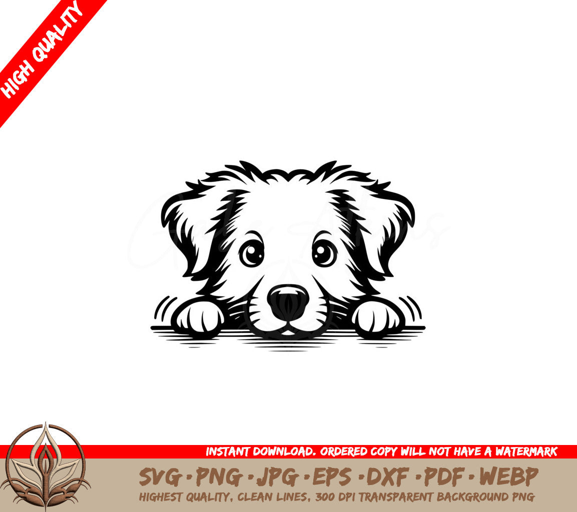 Toller Peekaboo Play SVG Cut File