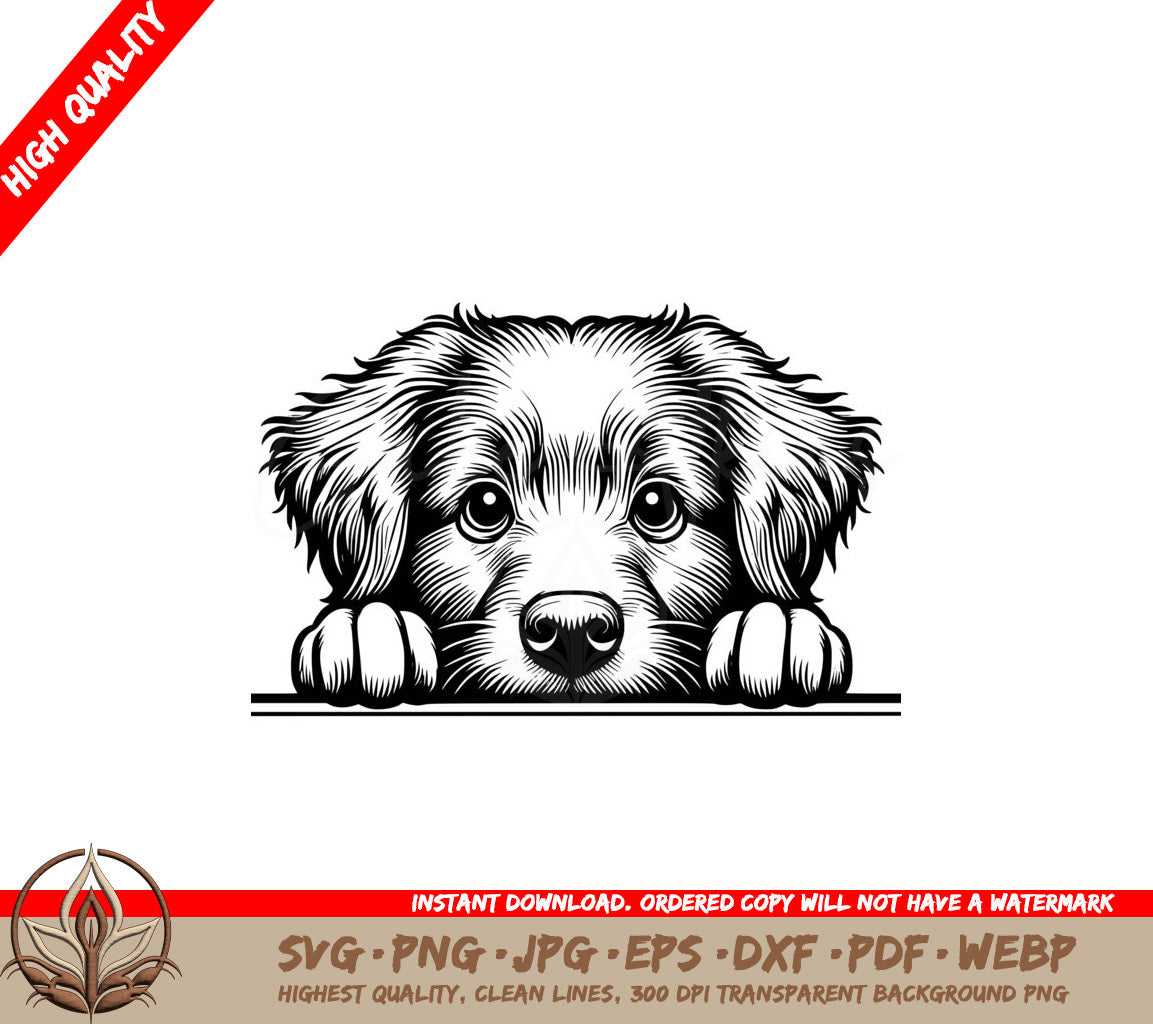 Tollers Gentle Gaze SVG Cut File Download