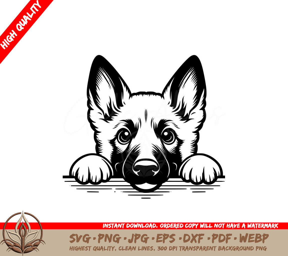 Watchful Belgian Malinois SVG