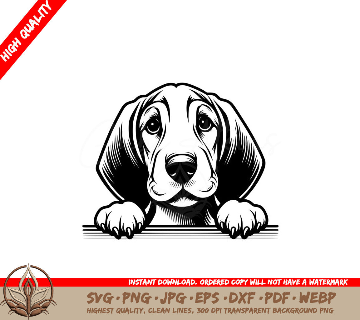 Watchful Coonhound Eyes SVG PNG JPG AI PDF DXF EPS and WebP