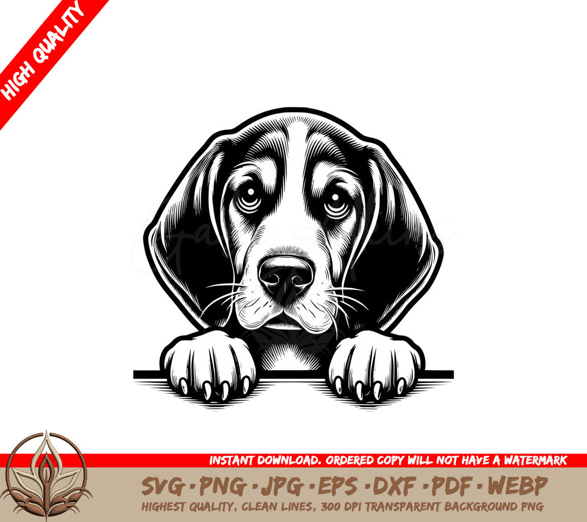 Watchful Coonhound SVG