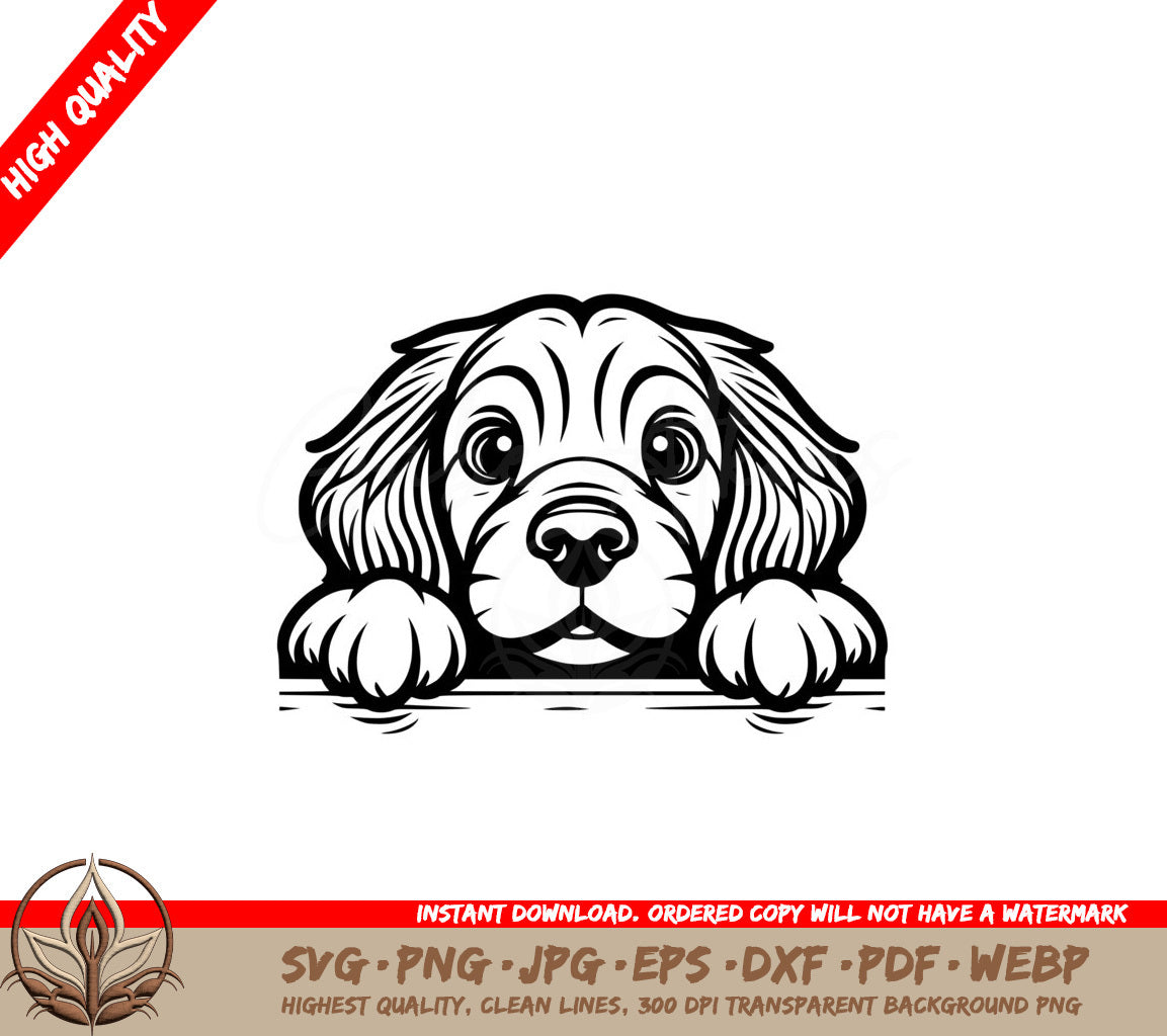 Watchful Irish Setter SVG