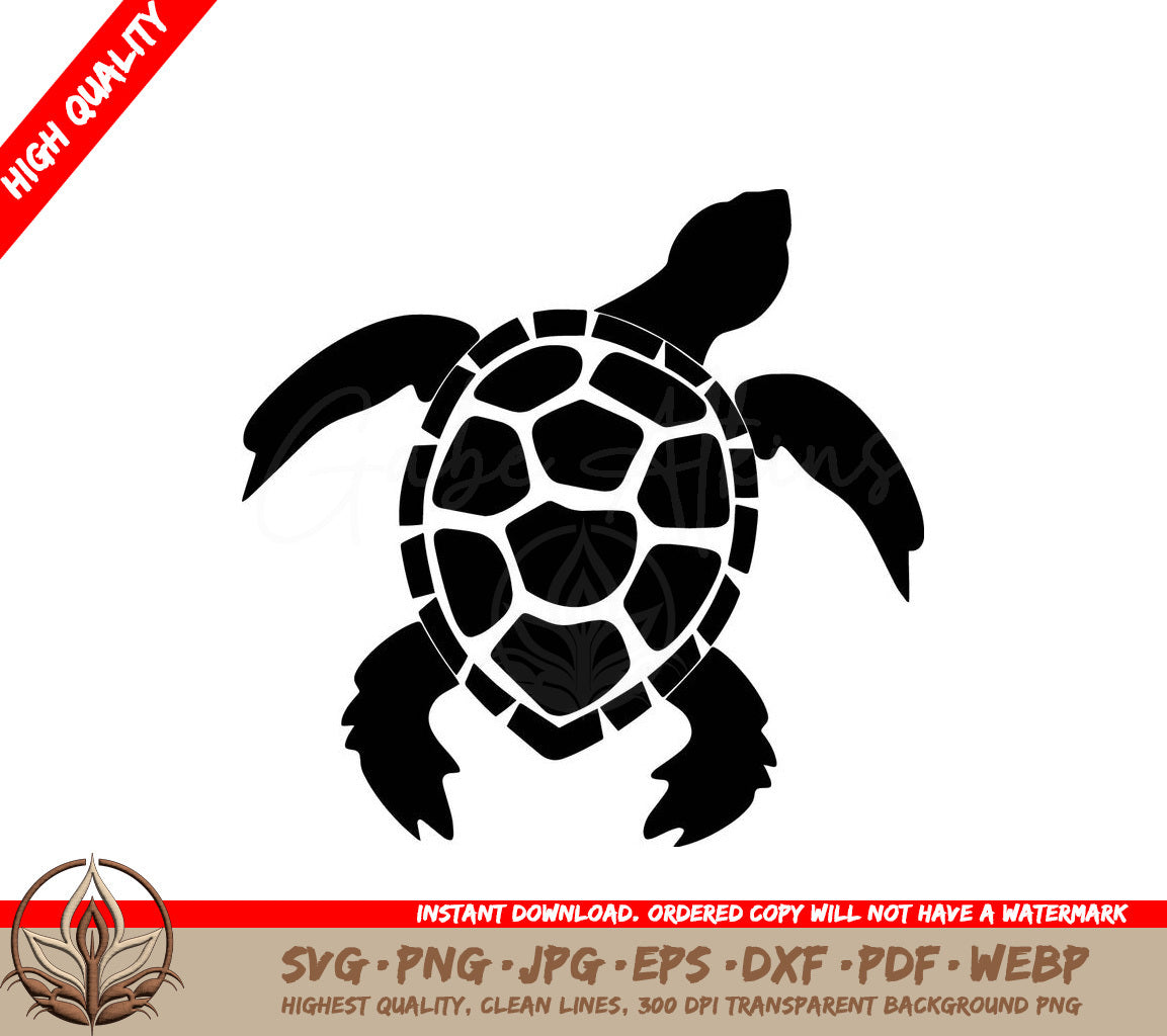 White Spotted Turtle Digital Design in SVG, PNG, JPG, AI, PDF, DXF, EPS and WebP Formats