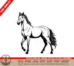 White Stallion Digital Design File in Multiple Formats (SVG, PNG, JPG, AI, PDF, DXF, EPS, WebP)
