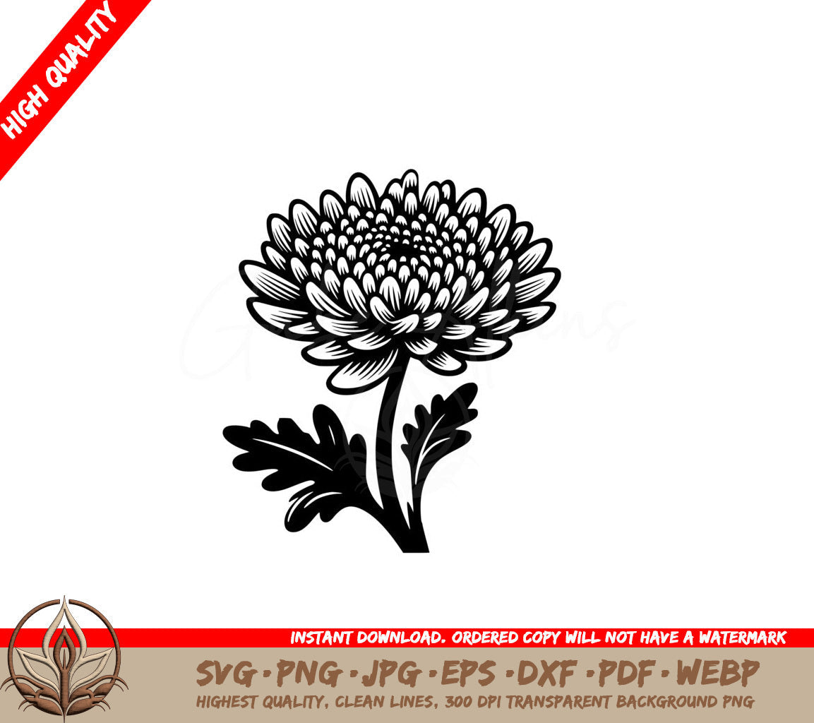 Wistful Chrysanthemum SVG PNG JPG AI PDF DXF EPS and WebP Digital Download