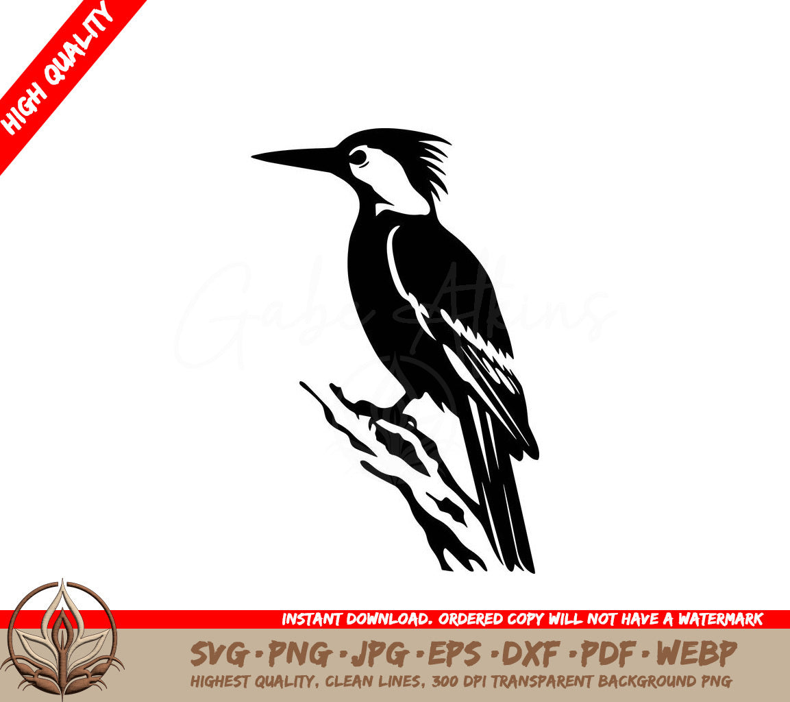 Woodpecker Digital Design File (SVG, PNG, JPG, AI, PDF, DXF, EPS, WebP)