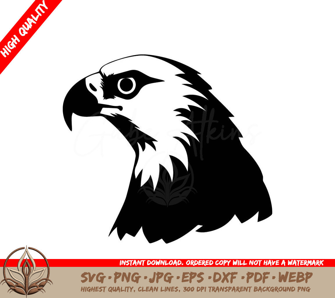 Bald Eagle Illustration SVG