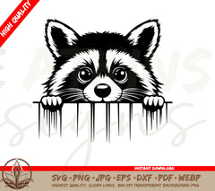 Fence Racoon Peeking Digital Download (SVG and PNG)