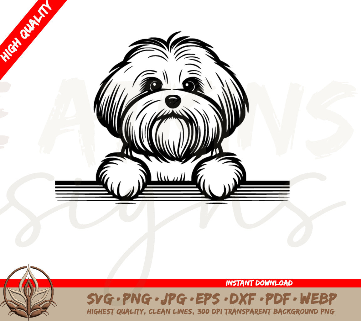 Peeking Dog SVG: Coton de Tulear Edition. Adorable & Cute Peeking Dog Coton De Tulear