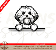Peeking Dog SVG: Coton de Tulear Edition. Adorable & Cute Peeking Dog Coton De Tulear