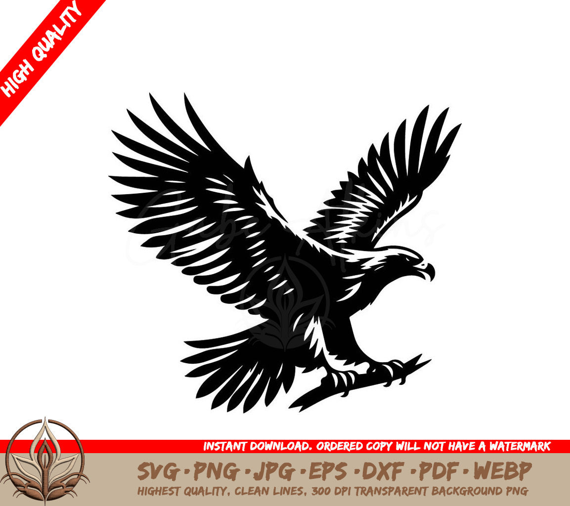 A Black And White Eagle Is Flying In The Air