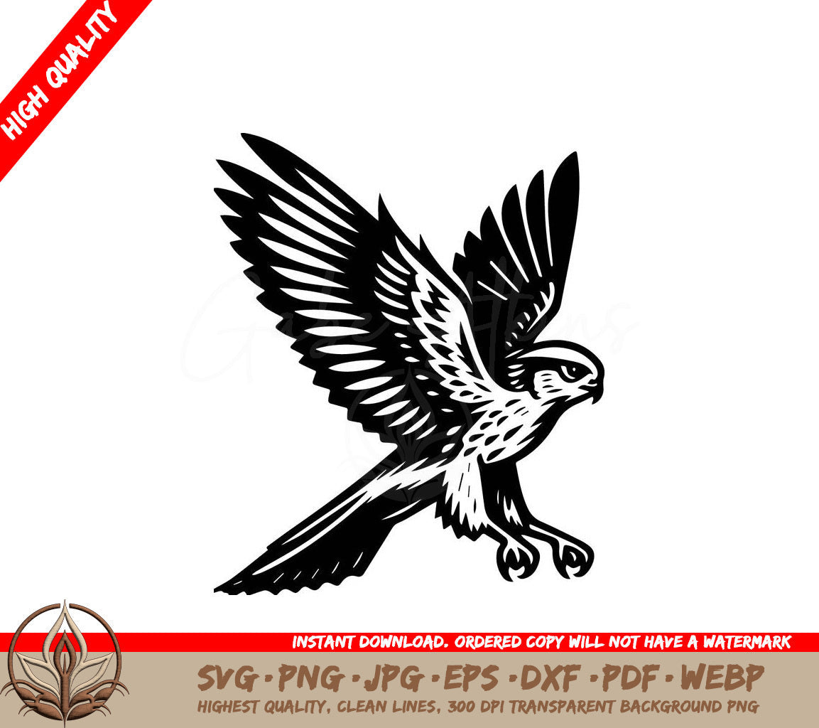 Harrier Eagle Vector Art Illustration SVG