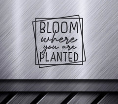 Bloom Where You Are Planted - SVG Design Bundle SVG