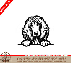 Adorable Afghan Hound Peeking SVG