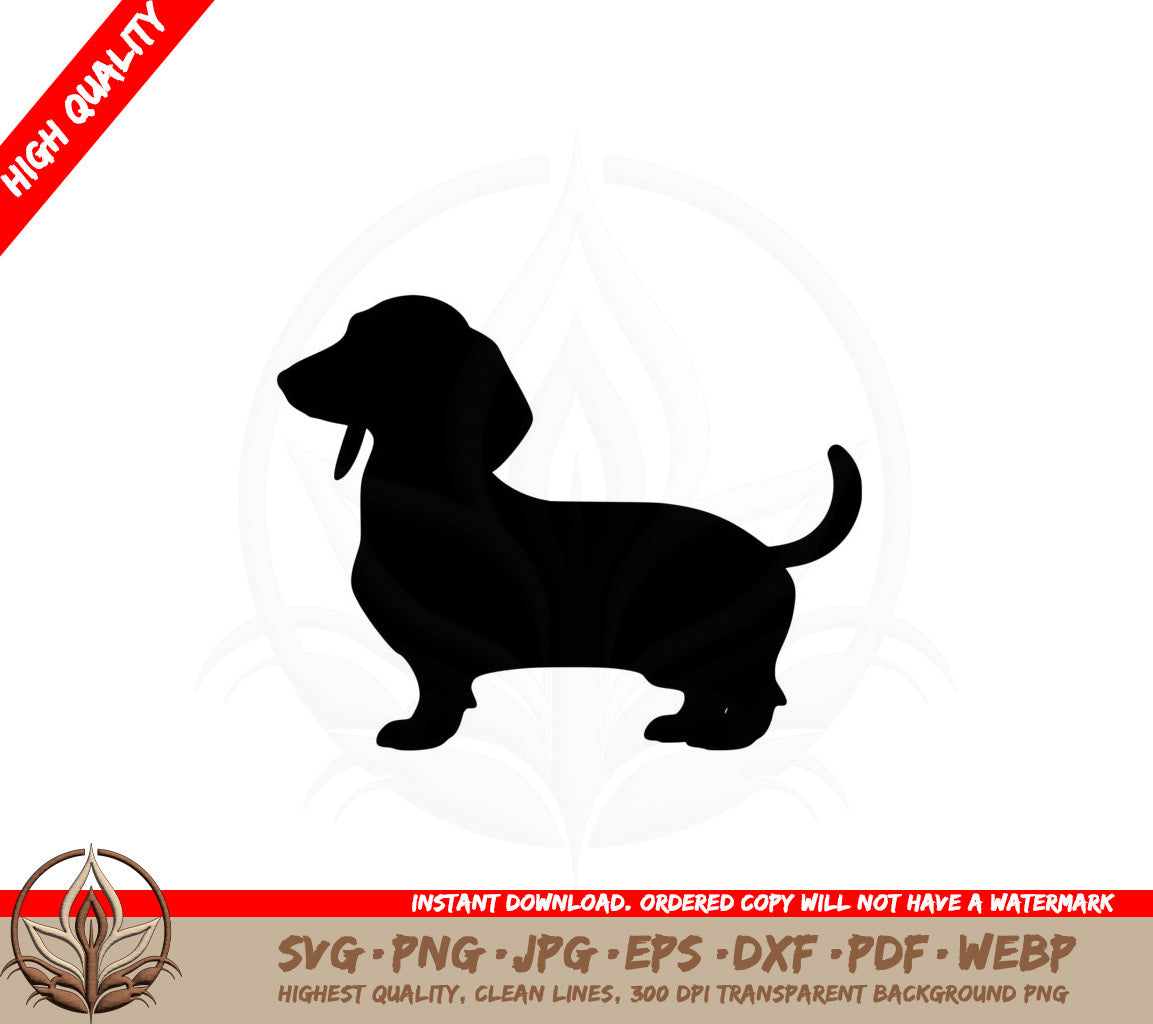 Adorable Dachshund Puppy SVG PNG JPG AI PDF DXF EPS and WebP Digital Download 