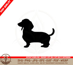 Adorable Dachshund Puppy SVG PNG JPG AI PDF DXF EPS and WebP Digital Download 