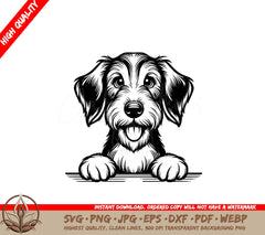 Adorable Scottish Deerhound Peek SVG, PNG, JPG, AI, PDF, DXF, EPS and WebP Digital Download 
