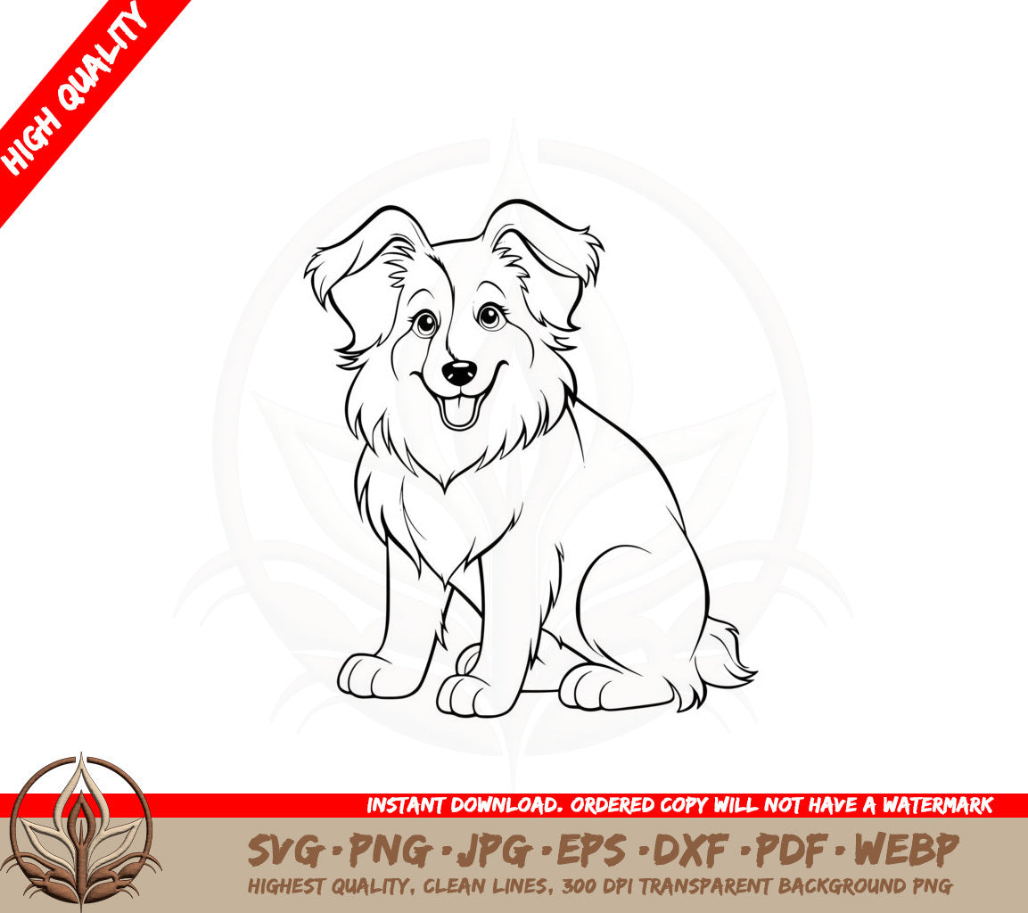 Adult Collie