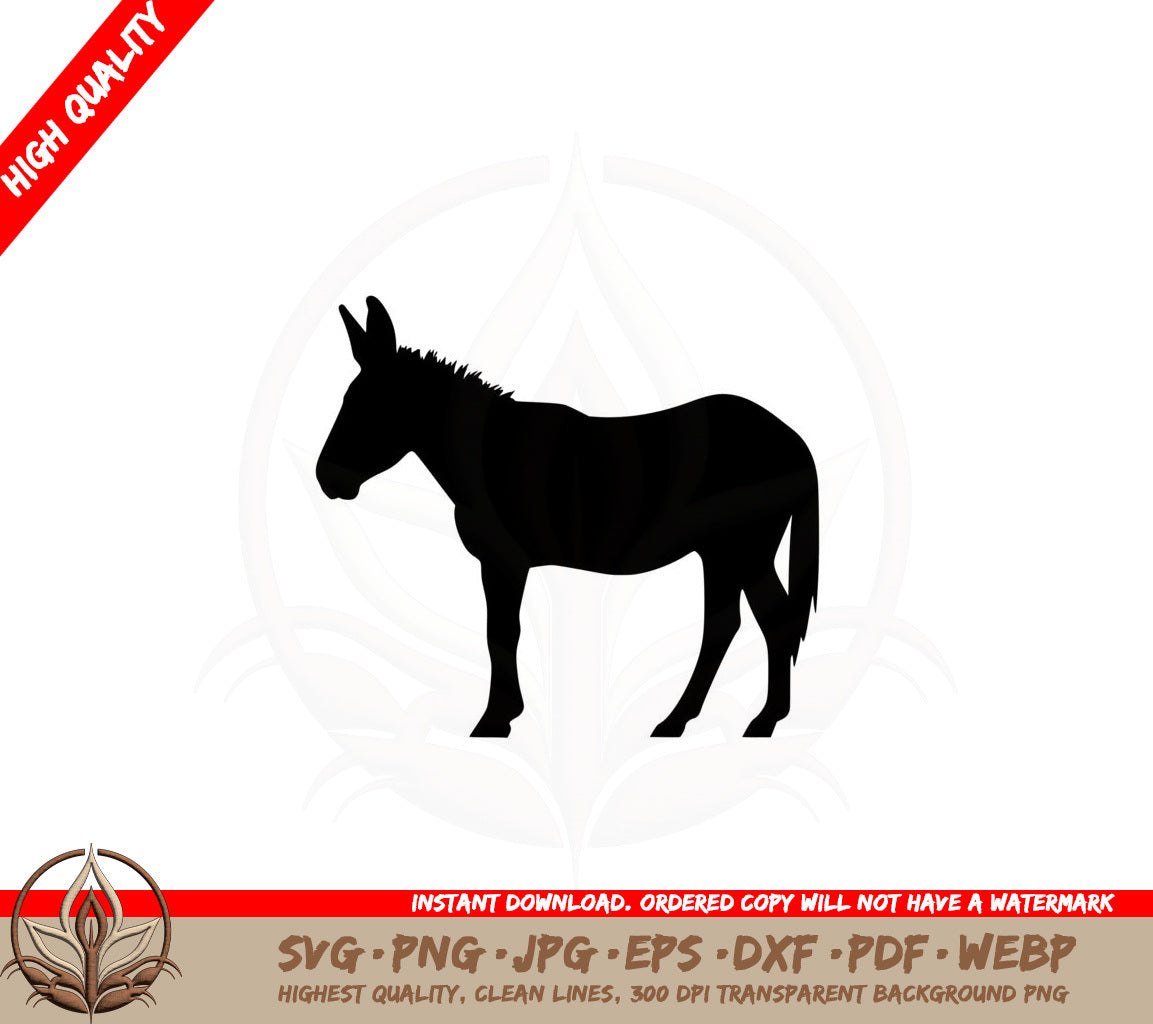 Adult Donkey
