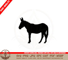 Adult Donkey
