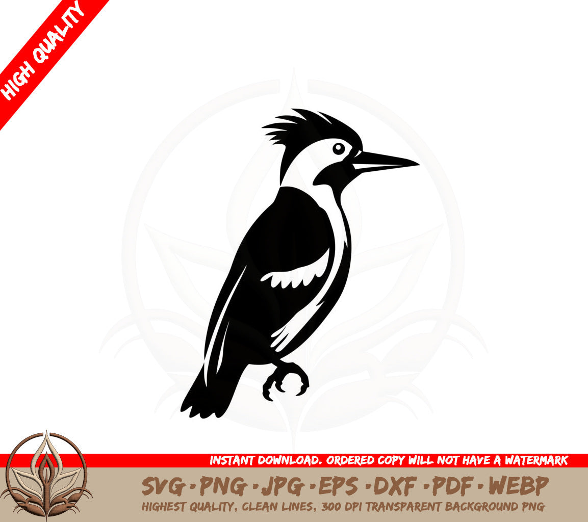 Adult Woodpecker