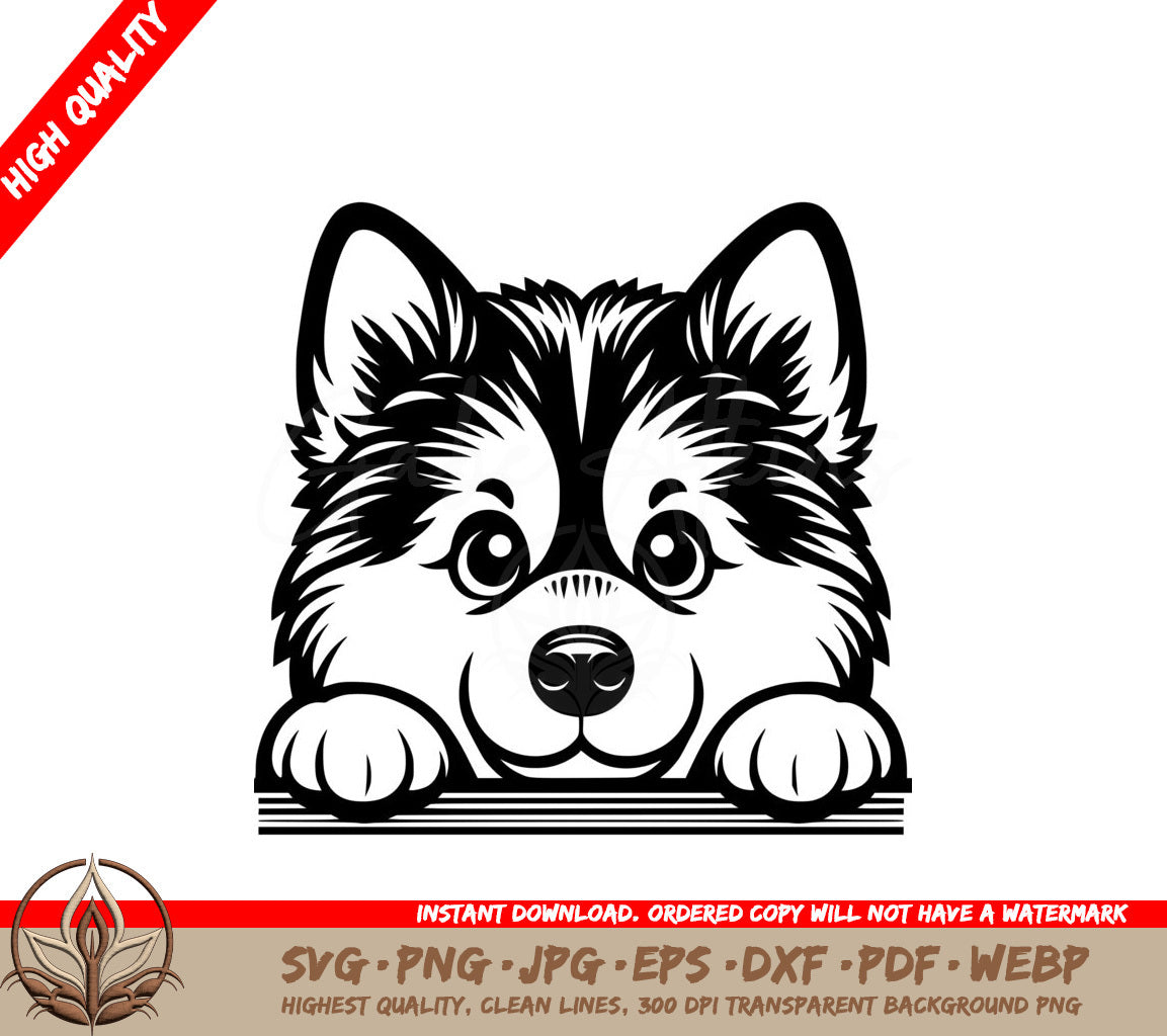 Alaskan Malamute Peekaboo SVG 

