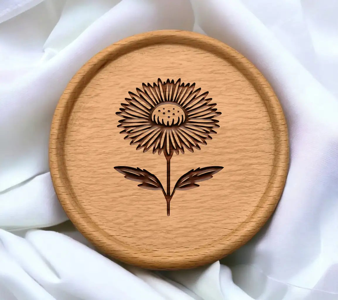 Aster Elegance