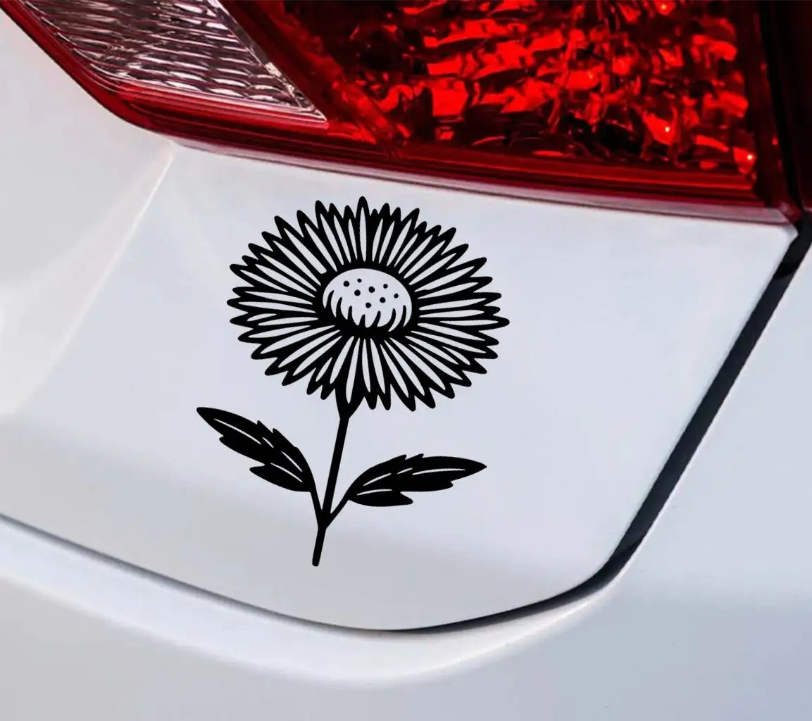 Aster Elegance