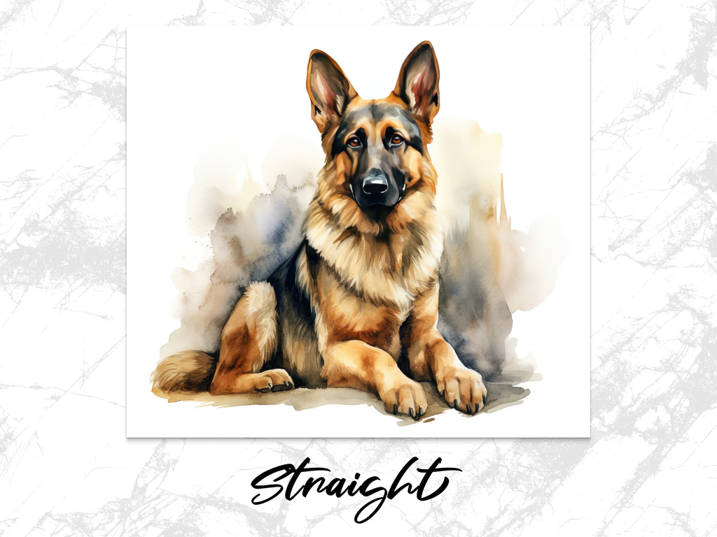 Attentive German Shepherd Watercolor Tumbler Wrap Sublimation | 20oz T | Attentive German Shepherd Watercolor Tumbler Wrap Sublimation