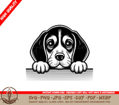 Attentive Bluetick Coonhound SVG, PNG, JPG, AI, PDF, DXF, EPS and WebP Digital Download 
