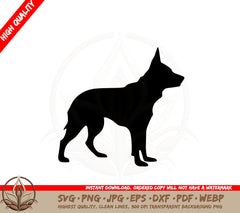 Australian Cattle Dog Silhouette SVG PNG JPG AI PDF DXF EPS and WebP Digital Download 