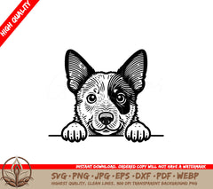 Australian Cattle Pup Peeking SVG, PNG, JPG, AI, PDF, DXF, EPS and WebP - Digital Download 
