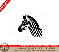 Baby Zebra Digital Design SVG 