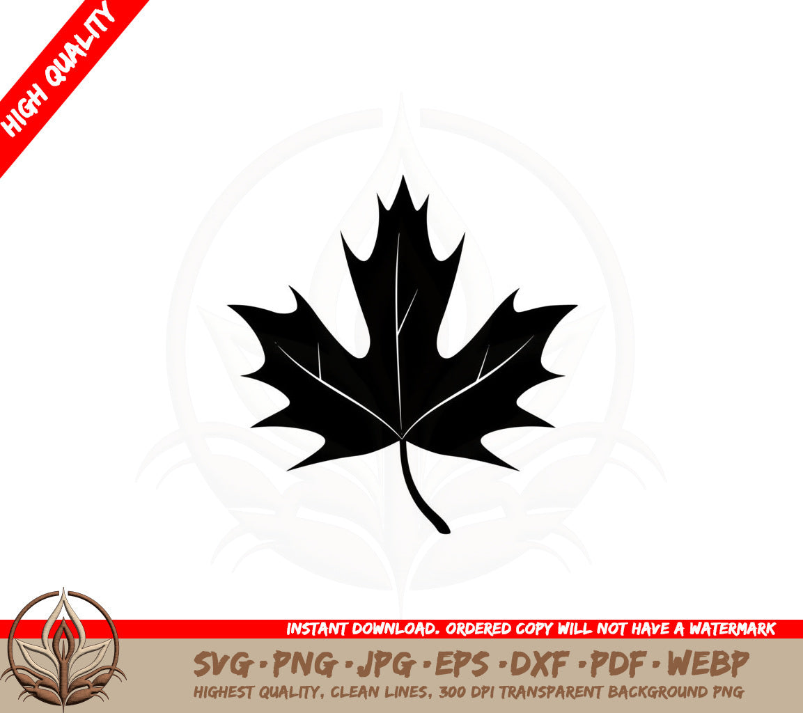 Basic Maple Leaf SVG PNG JPG AI PDF DXF EPS and WebP Digital Download  