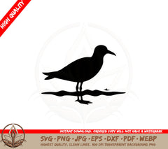 Beachside Seagull SVG PNG JPG AI PDF DXF EPS and WebP Digital Download 