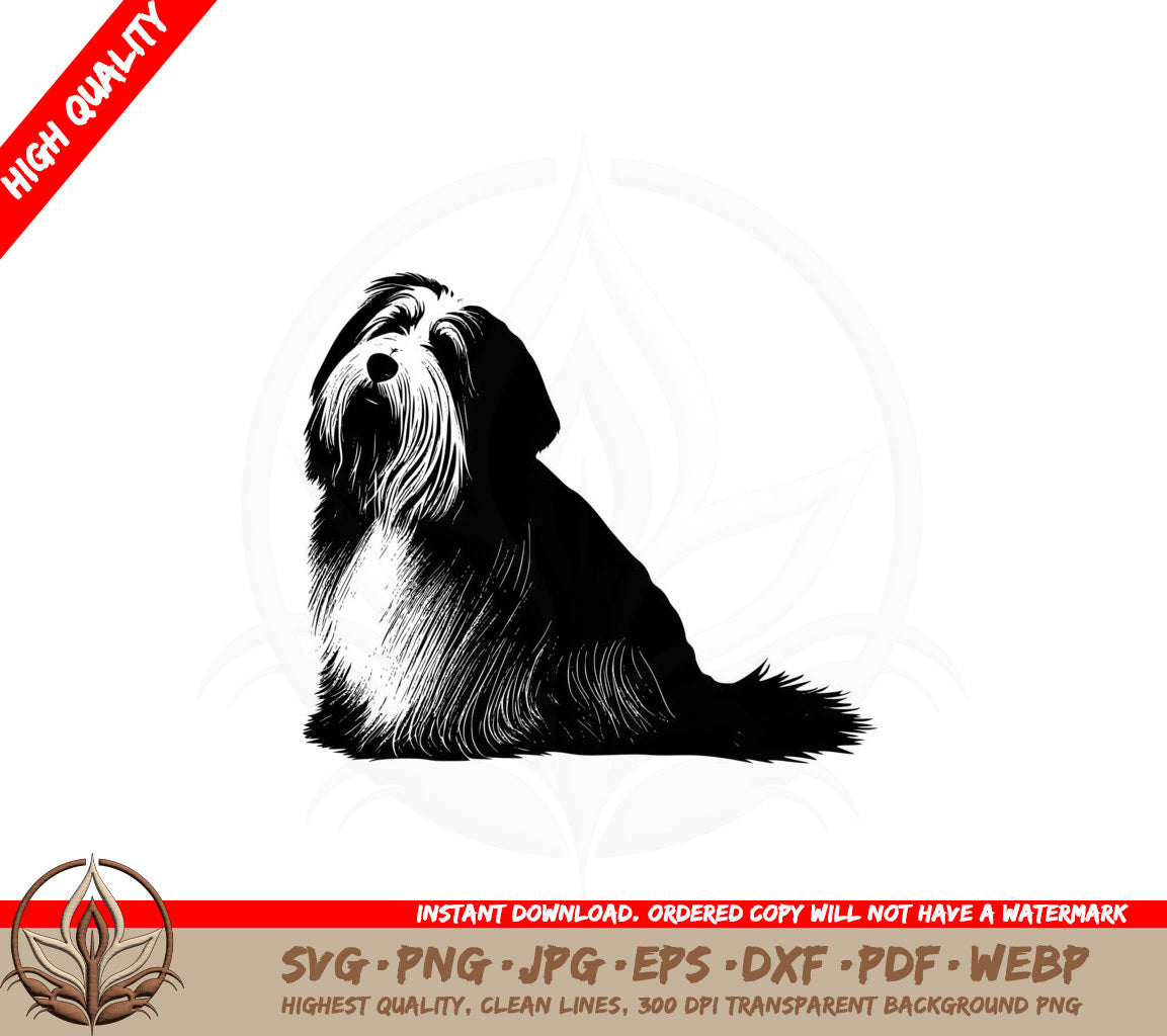Bearded Collie With A Brush SVG PNG JPG AI PDF DXF EPS and WebP Digital Download 