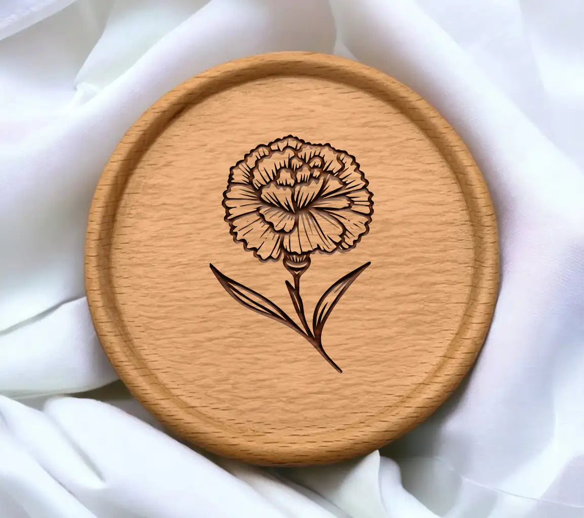 Beautiful Carnation
