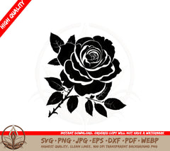 Beautiful Rose SVG PNG JPG AI PDF DXF EPS and WebP - Digital Download 