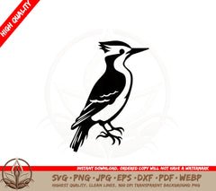 Beautiful Woodpecker Digital Design Cut File SVG 