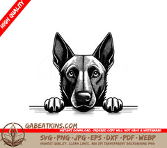 Belgian Malinois Peeking Over Wall SVG -  Dog Illustration SVG