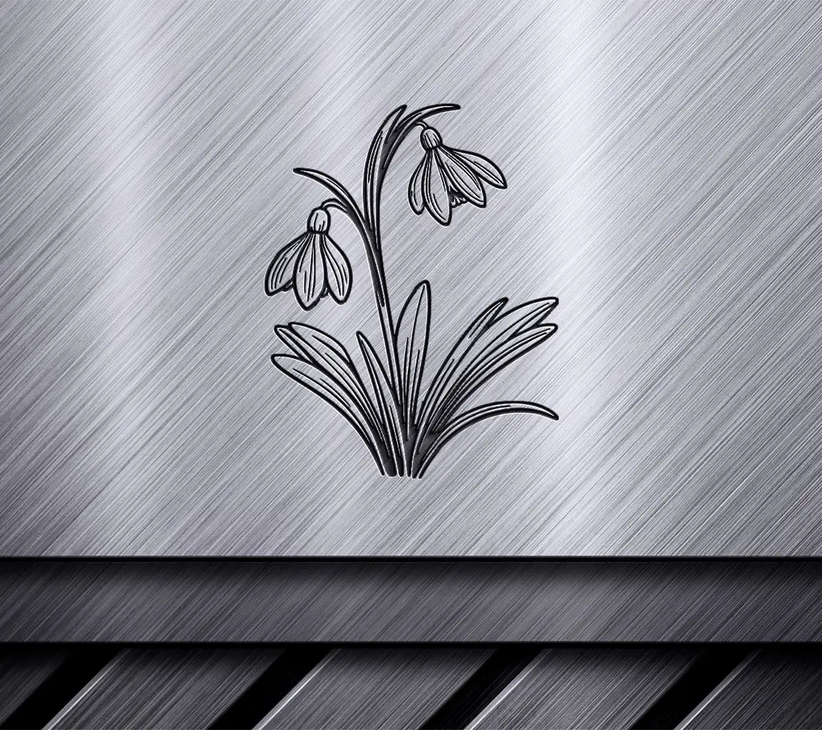 Bell Snowdrop Flowers